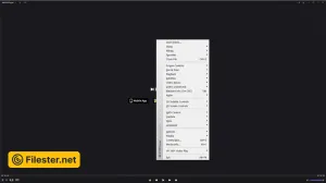 kmplayer-68447043.webp